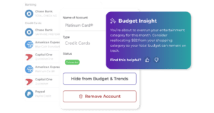 AI budget insights, hide accounts from net worth